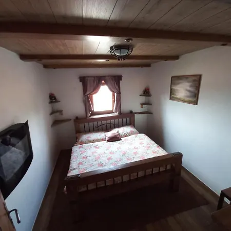 V Zajecskej Vezi Zajeci